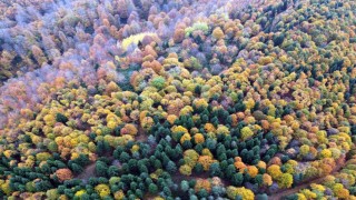 Sakaryada sonbahar güzelliği göz kamaştırıyor