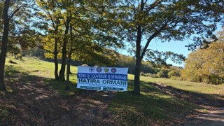 Sakaryada yeşil geleceğe katkı: 22 bin fidan toprakla buluştu