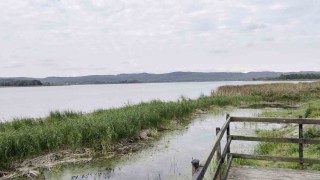 Sakaryanın alüvyon set gölü can çekişiyor: Su seviyesi 8 metreden 2 metreye düştü