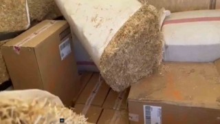 Saman balyalarına gizlenmiş 43 bin paket kaçak sigara ele geçirildi