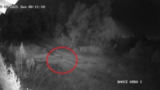 Samsunda 2 haftadır kayıp olan genç ilçede paniğe yol açtı: Vatandaşlar tedirgin