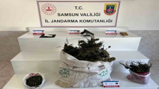 Samsunda jandarmadan uyuşturucu operasyonu: İpe asılmış esrar ele geçirildi