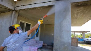 Samsunda kahverengi kokarcaya karşı kışlak seferberliği