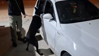 Samsunda narkotik köpeği Çakır, yakıt deposuna gizlenen metamfetamini buldu