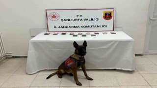 Şanlıurfada 210 bin TL ile uyuşturucu madde ele geçirildi