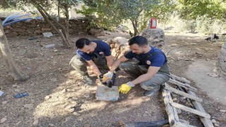 Şanlıurfada foseptik çukuruna düşen köpek yavrusu kurtarıldı