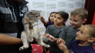Şanlıurfada minik kalplere hayvan sevgisi aşılandı