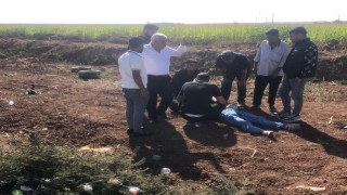 Şanlıurfada otomobil devrildi: 2 yaralı