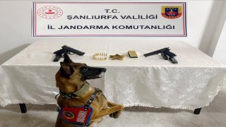 Şanlıurfada silah kaçakçılığı operasyonu: 8 gözaltı
