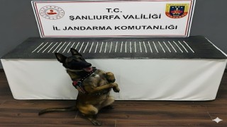 Şanlıurfada uyuşturucu operasyonu: 3 gözaltı