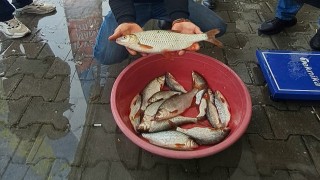 Sapanca Gölünde kızılkanat heyecanı: Amatör balıkçılar kıyasıya yarıştı