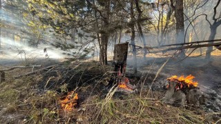 Sarıkamışta orman yangını: 2 hektar alan zarar gördü