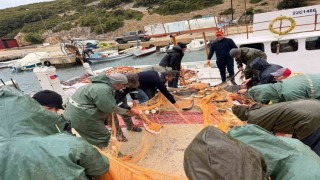 Saros Körfezinde denize açılan balıkçıların ağları kefal ile doldu