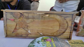 Sasonda ay yıldızlı arı kovanları yoğun ilgi görüyor