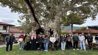 SAÜ öğrencileri tarihin ve doğanın güzellikleriyle buluştu