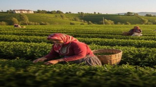 Şekerbanktan çiftçi kadınlara destek