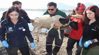 Sel felaketi riski taşıyan İzmirde AFADdan tatbikat