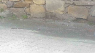 Seni Kastamonuda gezdirmem sözü tahrik sayıldı: 1 kişiyi bıçaklayan baba-oğula indirimli ceza