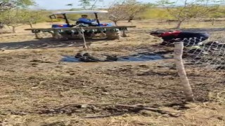 Septik kuyusuna düşen yaban domuzu, traktör yardımıyla kurtarıldı