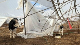 Serikte hasar tespit çalışmaları sürüyor