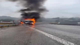 Seyir halindeki tır alev alev yandı