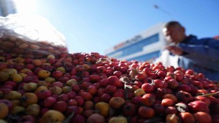 Seyyar doktor dağ bitkileriyle şifa dağıtıyor