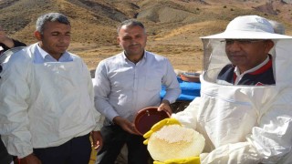 Siirt İl Tarım Müdürü Şanverdi: Terörsüz Türkiye kapsamında dağlarımızda açacağımız yollar, bal üretimine büyük katkı sağlayacak