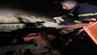 Siirtte kanala düşen inek kurtarıldı