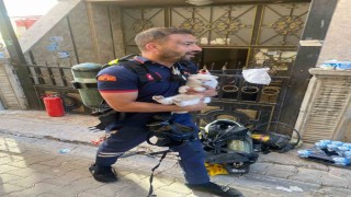 Siirtte yangında mahsur kalan kediyi itfaiye ekipleri kurtardı