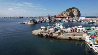 Şilede bu yıl palamut avı beklenenin çok altında kaldı