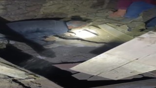 Sındırgıda enkaz altında kalan eşek canlı kurtarıldı