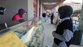 Sındırgıda kadınlar üretiyor, doğal peynirler sofralara ulaşıyor