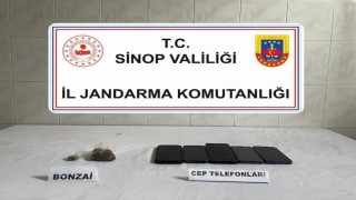 Sinopta bonzai ele geçirildi: 1 kişi tutuklandı