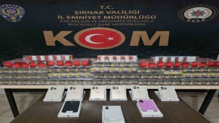 Şırnakta kaçakçılık operasyonu: 1 gözaltı