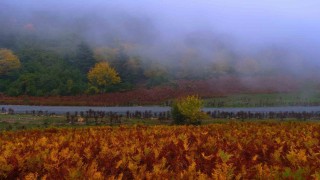 Sisler içindeki vadinin kalbinde doğa yürüyüşü