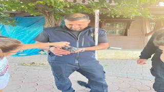 Sivasta boruya sıkışan kuşu itfaiye kurtardı