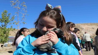 Sivasta öğrenciler, Anadolunun aslanı kangallarla buluştu