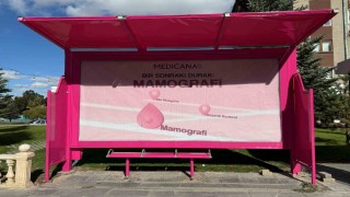 Sivasta pembe duraklarla meme kanserine farkındalık oluşturuluyor