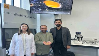 Sivasta yerli zeron buğdayından organik bulgur üretildi