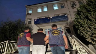 Sökede hayvan hırsızı yakalandı