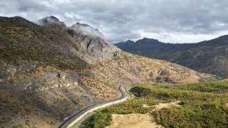 Sonbaharda meşe ormanları kartpostallık görüntüler oluşturdu
