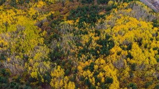 Sonbaharda seyirlik manzara