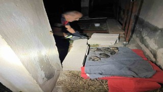 Sulama kanalına düşen anne köpek ve yavrularını itfaiye ekipleri kurtardı