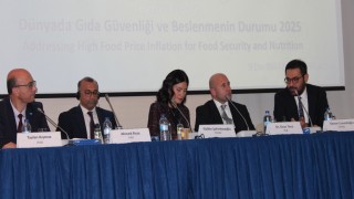 Tahminlere göre 2030 yılında 512 milyon insan açlıkla mücadele edecek 