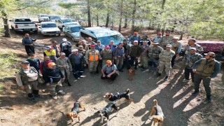 Tarım arazilerine zarar veren yaban domuzları için sürek avı