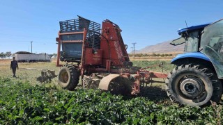 Tarımın kalbi Adilcevazda pancar sökümüne başlandı