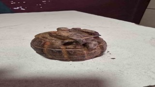 Tarlada el bombası bulundu