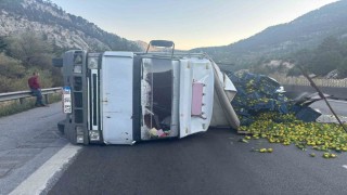 Tarsusta narenciye yüklü kamyon devrildi