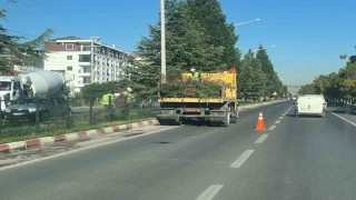 Tavşanlı Çevre Yolu, yapılan bakım ile güzelleşti
