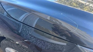 Tekirdağda gökyüzünden örümcek ağı yağdı